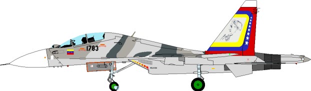Су-30 Венесуэлы: В небе над сельвой