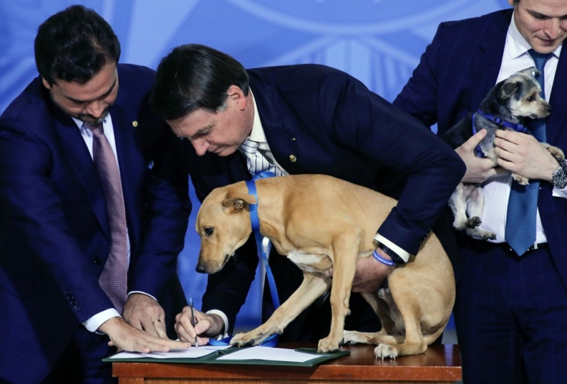 Собака президента Бразилии подписала закон о защите животных