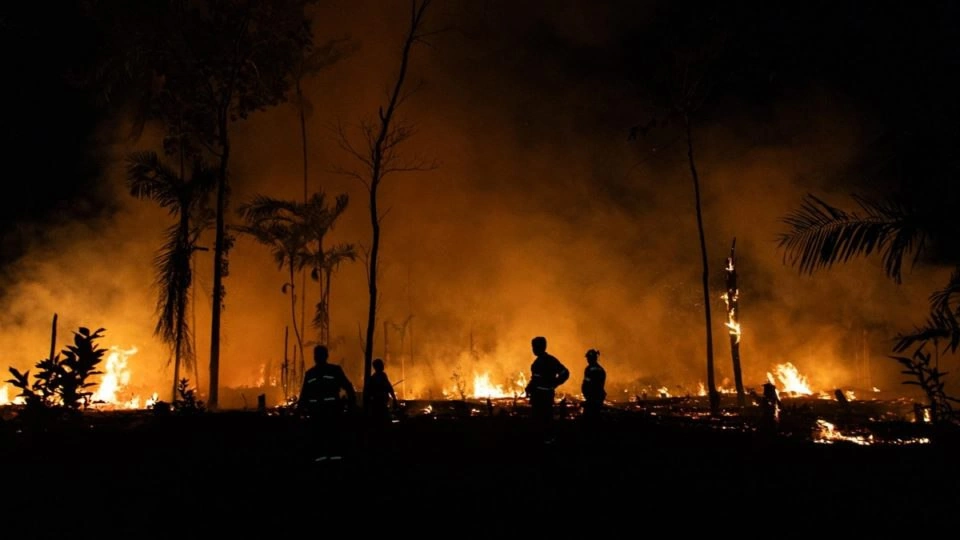 Бразилия: 433%-ное увеличение количества пожаров в Амазонии