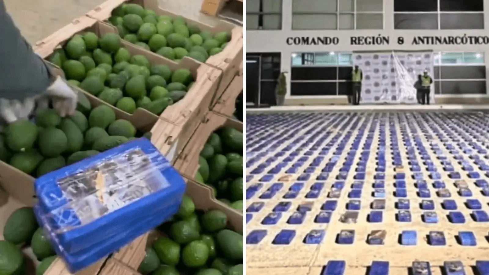 Колумбийская полиция конфисковала 1,7 тонны кокаина, спрятанного в партии авокадо