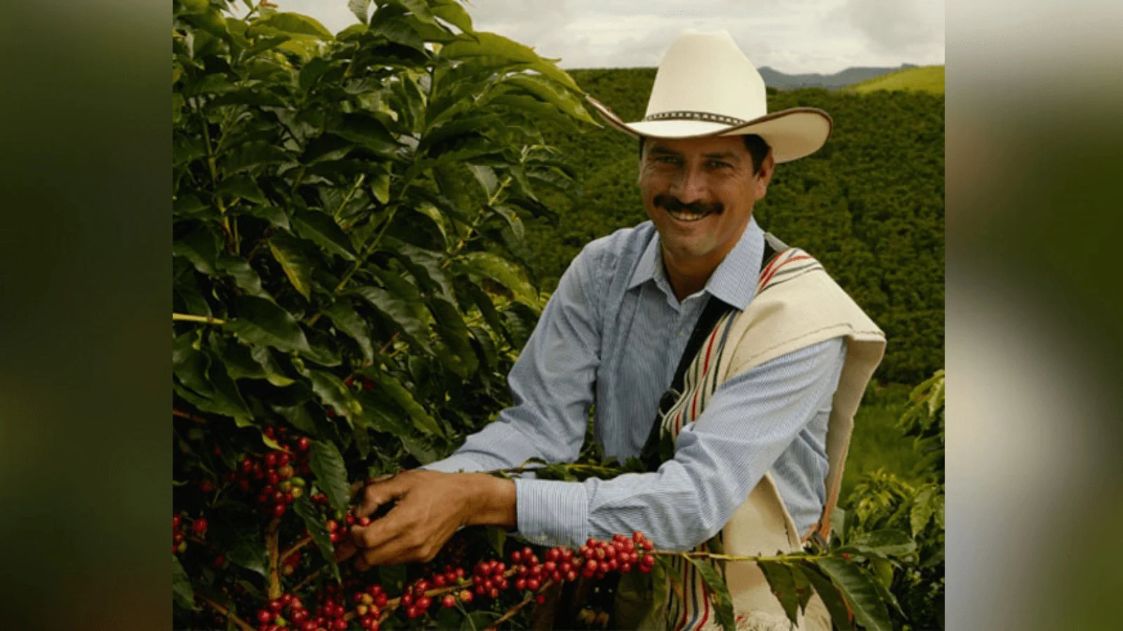 Умер Карлос Кастанеда - олицетворение Colombian Coffee