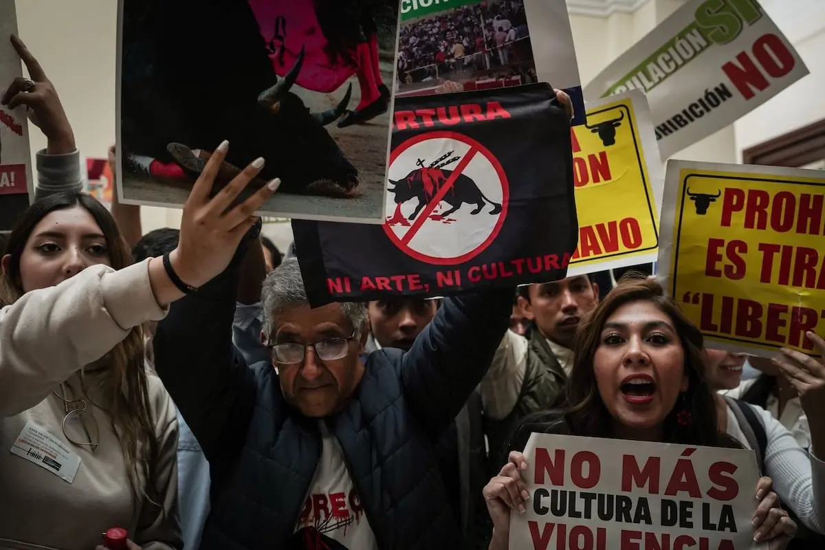 Конгресс Колумбии одобрил запрет на проведение корриды