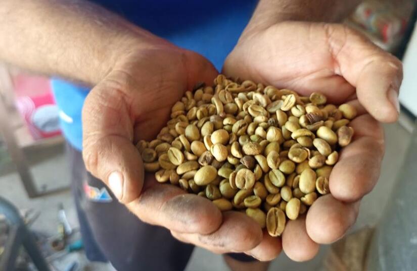 В Никарагуа произвели 1,7 миллиона фунтов обжаренного кофе В Никарагуа произвели 1,7 миллиона фунтов обжаренного кофе