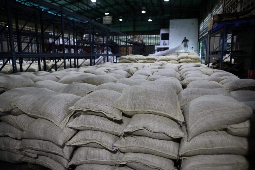 Шестой груз венесуэльского какао отправился в Россию