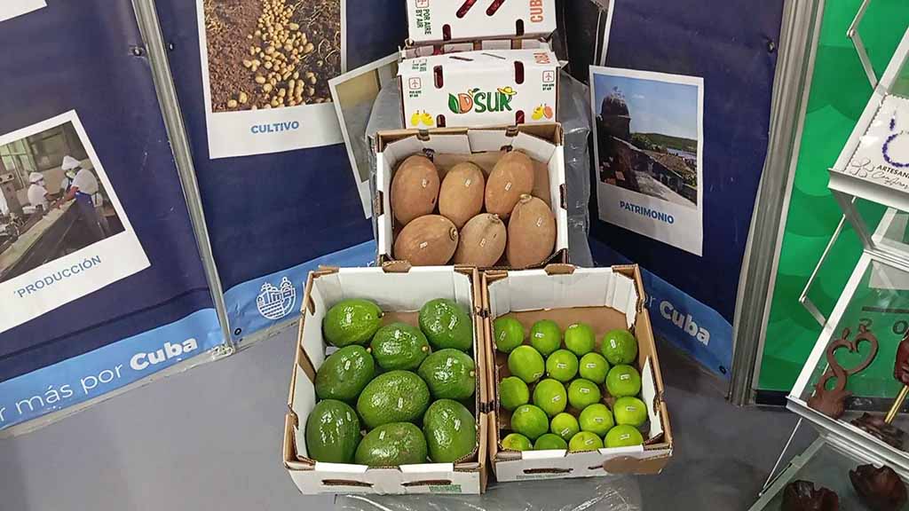 Провинция Сьенфуэгос добилась успехов в экспорте